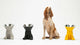 Elizabeth - W - W - Shop.de