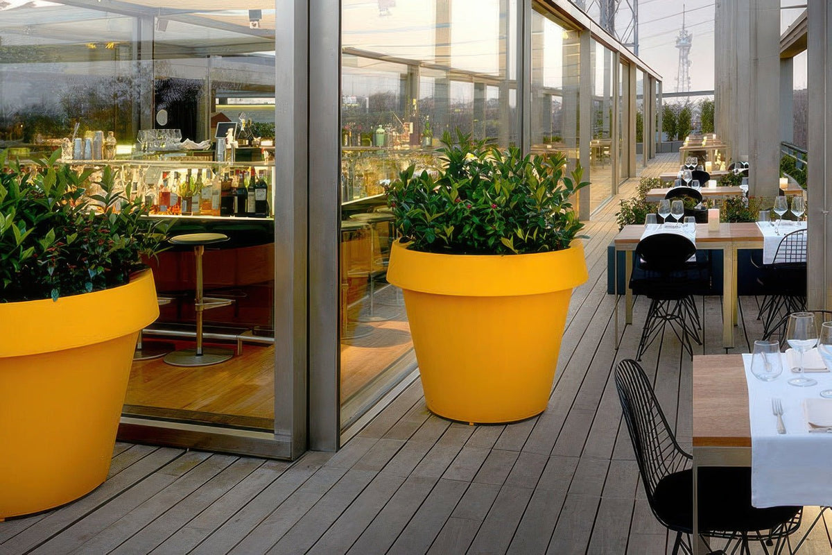 Gío Tondo