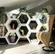 Hexa - W - W - Shop.de