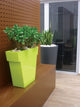 Il Vaso - W - W - Shop.de