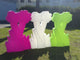 MyFlower - W - W - Shop.de