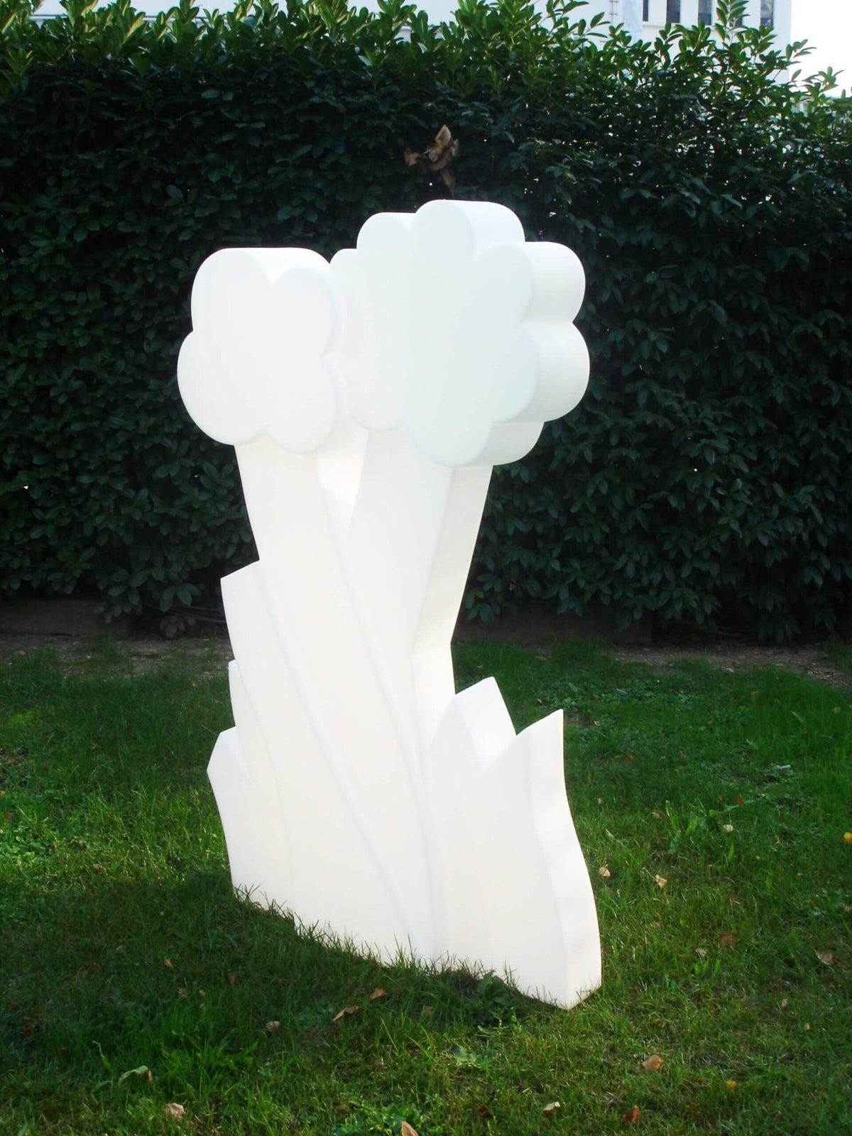 MyFlower - W - W - Shop.de