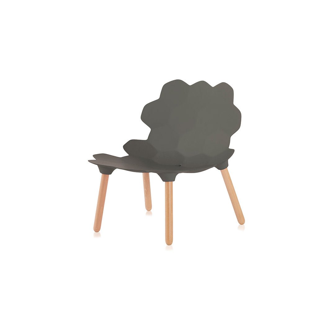 Tarta - W - W - Shop.de