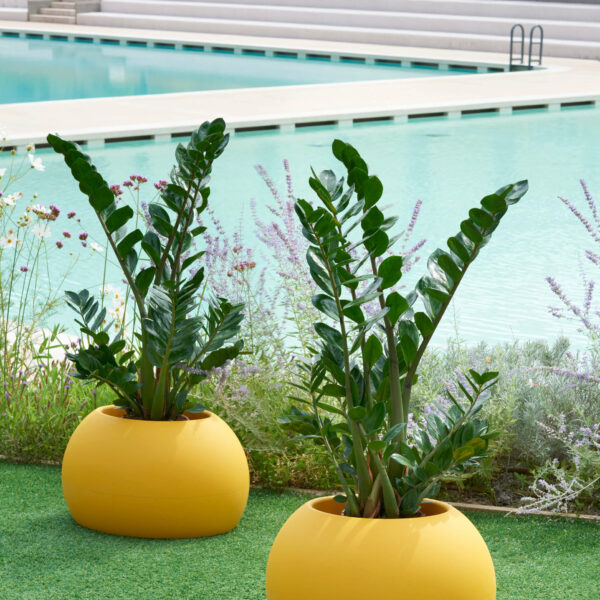 Slide Design Blumentopf Blos