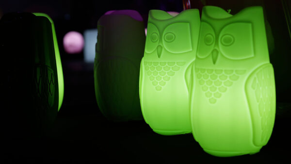 Slide Design Tischleuchte Bubo – Bild 5