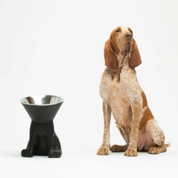 Slide Design Hundenapf Elisabeth